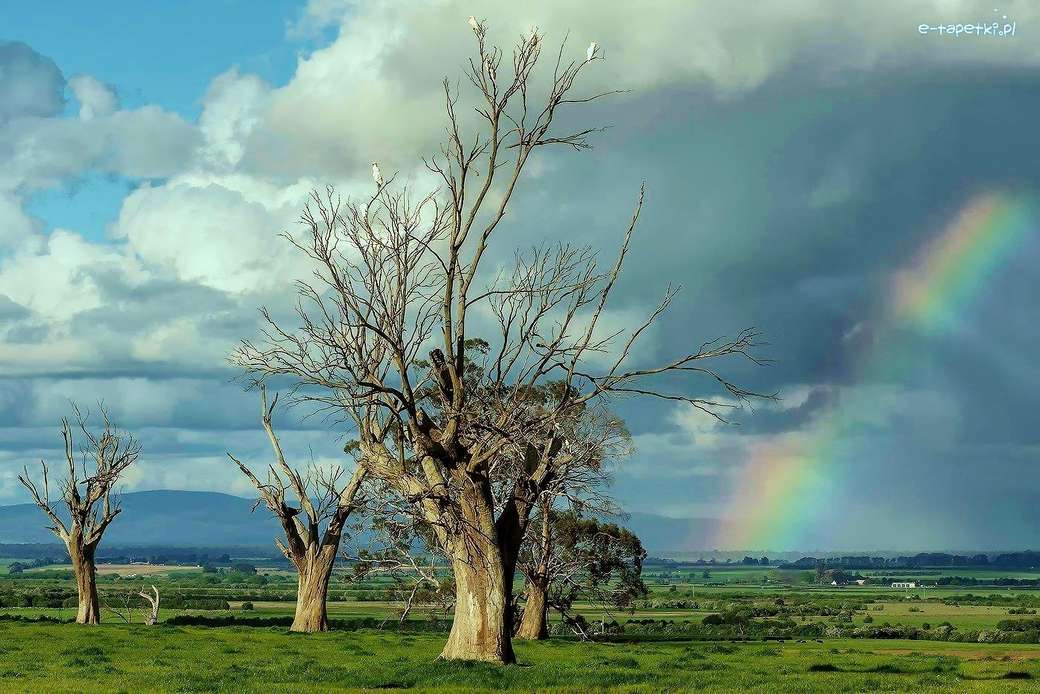 árboles secos - arco iris rompecabezas en línea