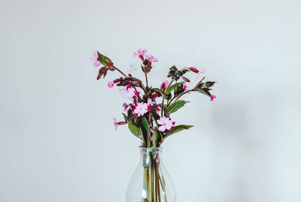 рожеві квіти у прозорій скляній вазі онлайн пазл