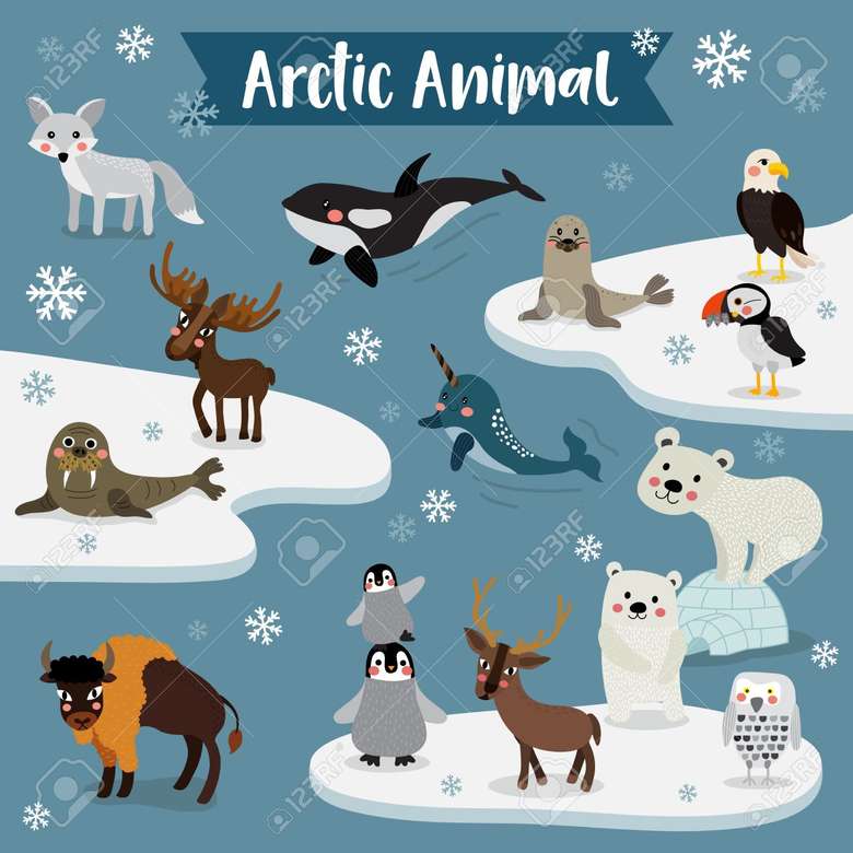 арктичні тварини пазл онлайн