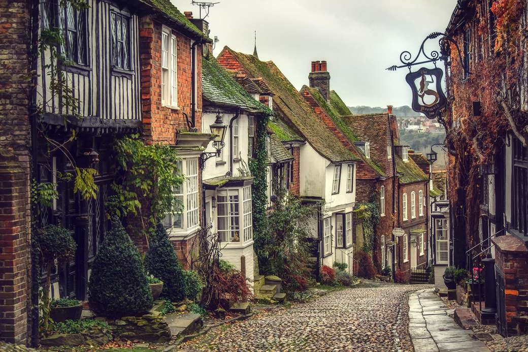 Rozs sellő utca, Kelet-Sussex, Anglia online puzzle