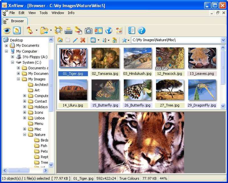 компютър - уголемяване на снимки онлайн пъзел