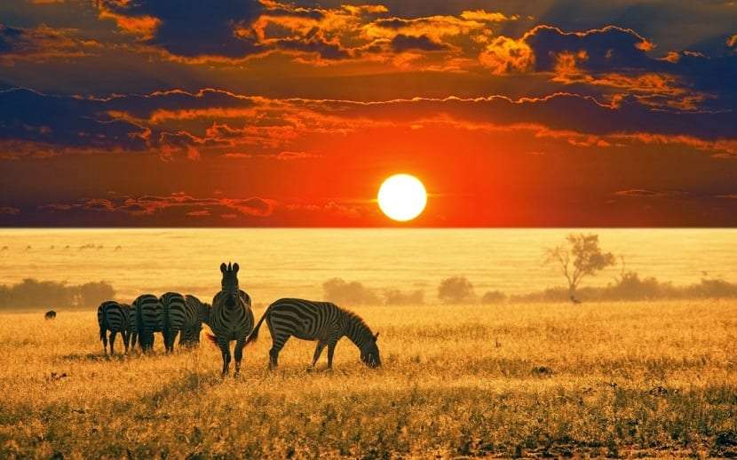 Afrika és természete kirakós online