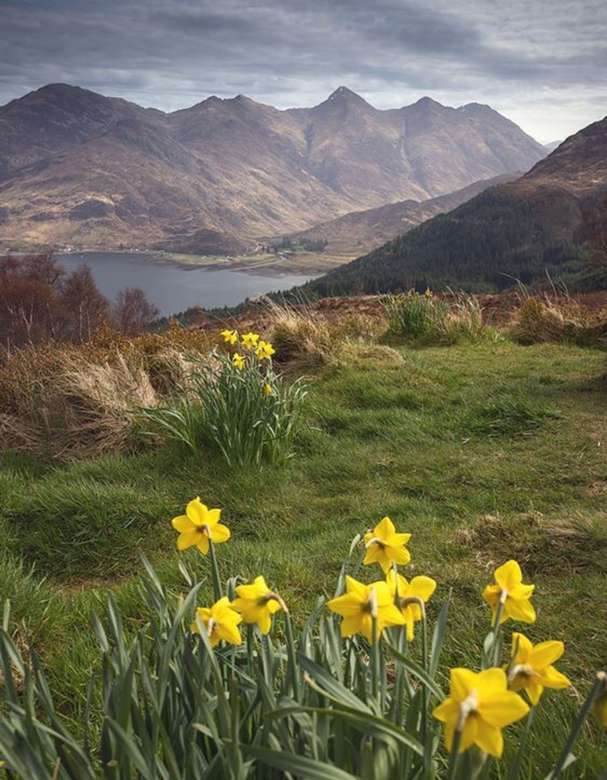 Five Sisters of Kintail Scotland jigsaw puzzle online