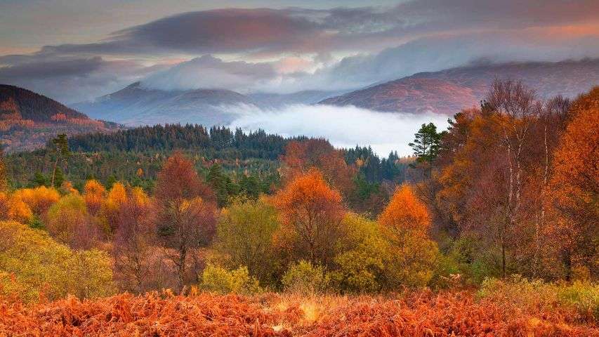 Loch Lomond med nationalparken Skottland Pussel online