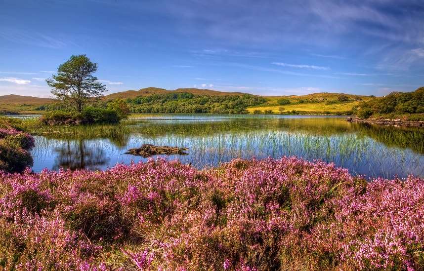 Χάιλαντς και οι λίμνες της Σκωτίας παζλ online