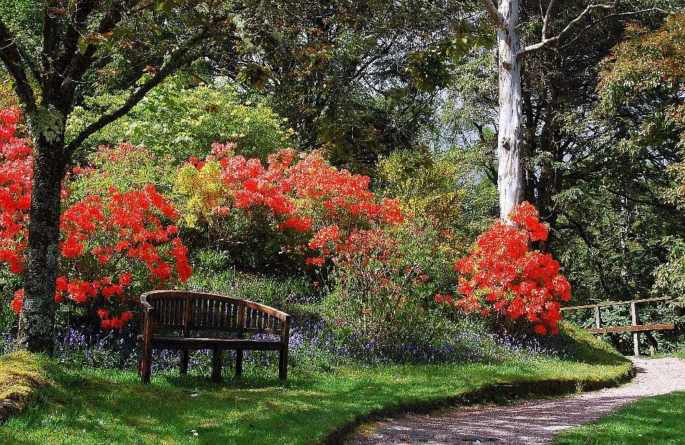 Crarae Garden Argyll Schotland online puzzel