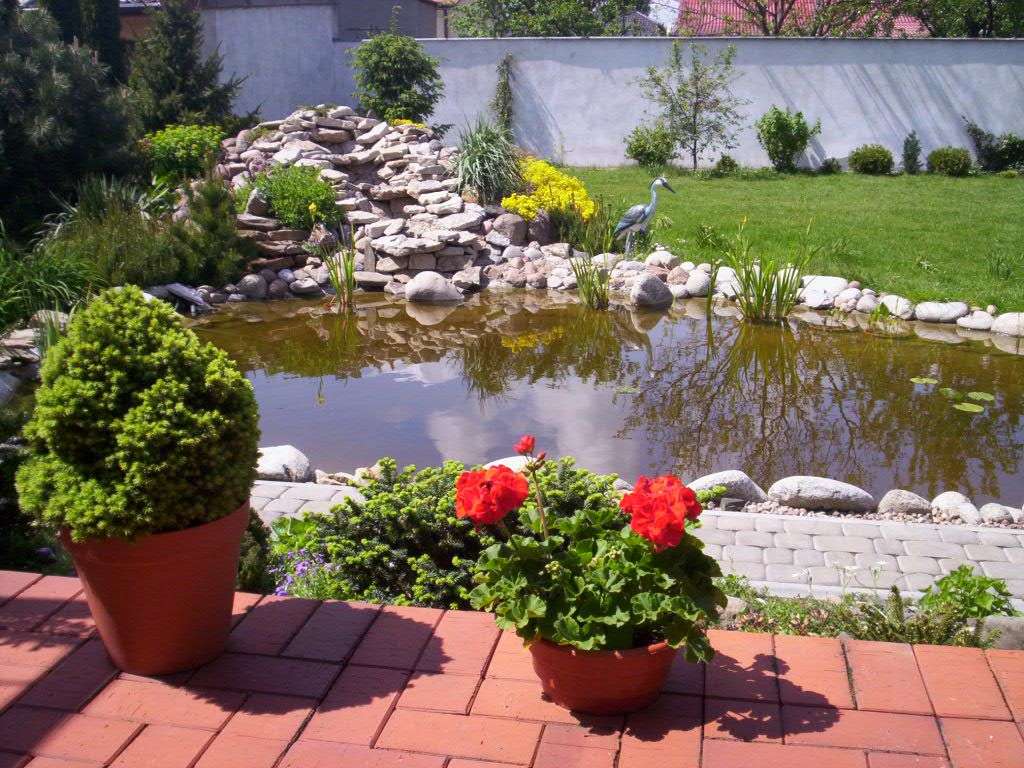 zahrada - na zahradě rybník online puzzle