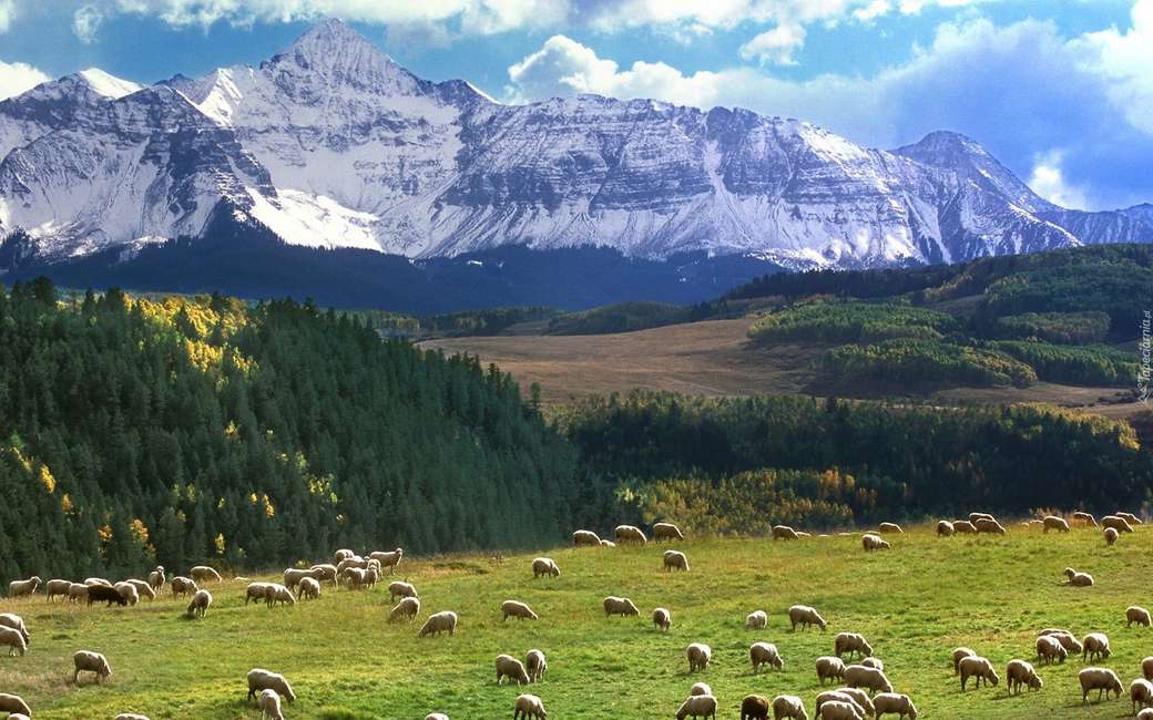 montañas, ovejas pastando rompecabezas en línea