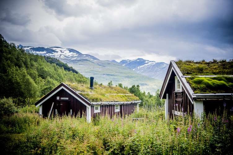 Nemzeti park Norvégiában online puzzle