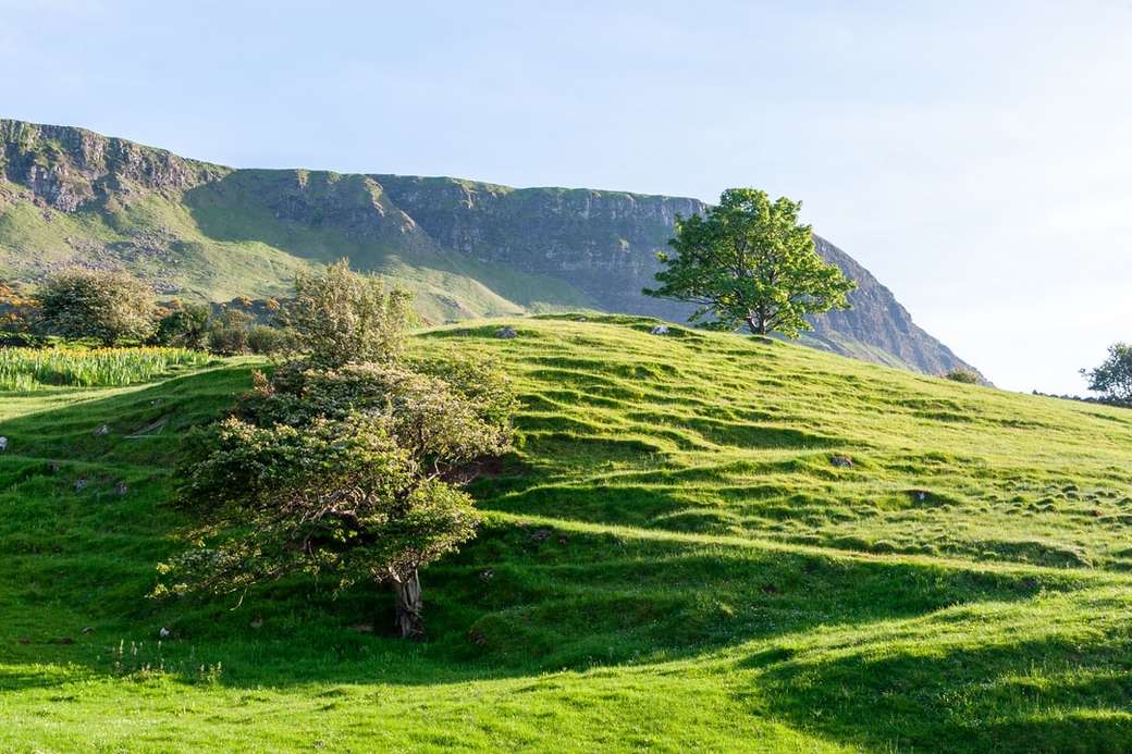 campo de grama verde e árvores na montanha puzzle online