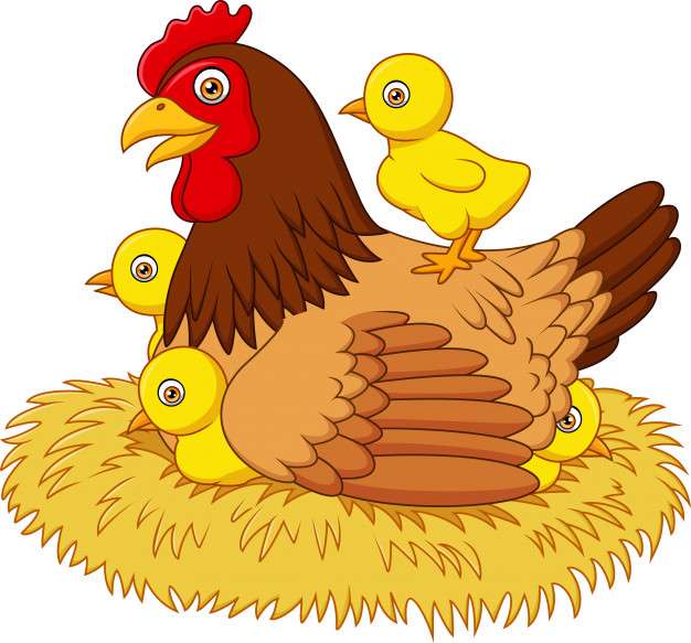 Kyckling kyckling djur pussel på nätet
