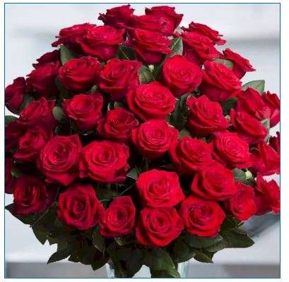 Las flores más bonitas y son rojas rompecabezas en línea
