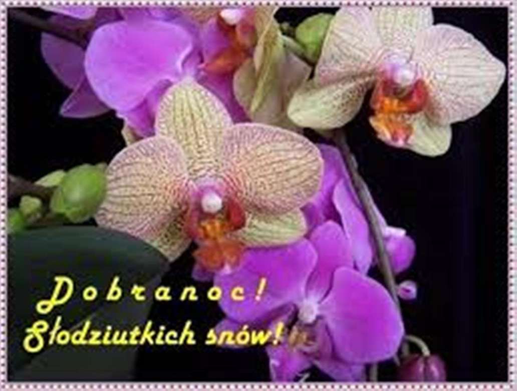 orkidéer för sänggåendet Pussel online
