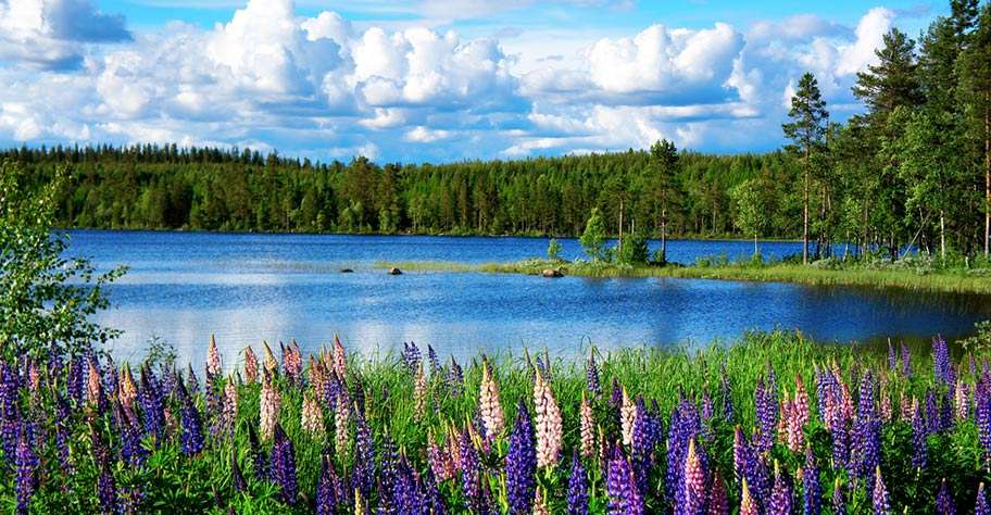 Seenlandschaft in Schweden Online-Puzzle