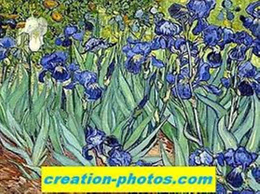 iris azules rompecabezas en línea