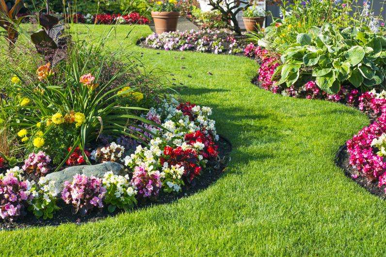 παρτέρια κήπων λουλουδιών παζλ online