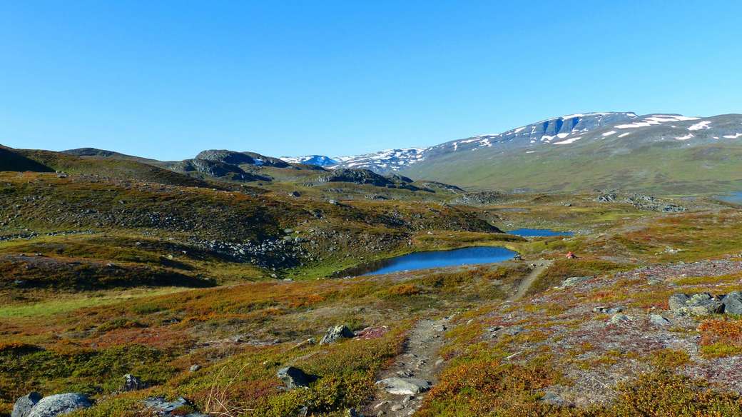 Lapplands Sverige landskap Pussel online