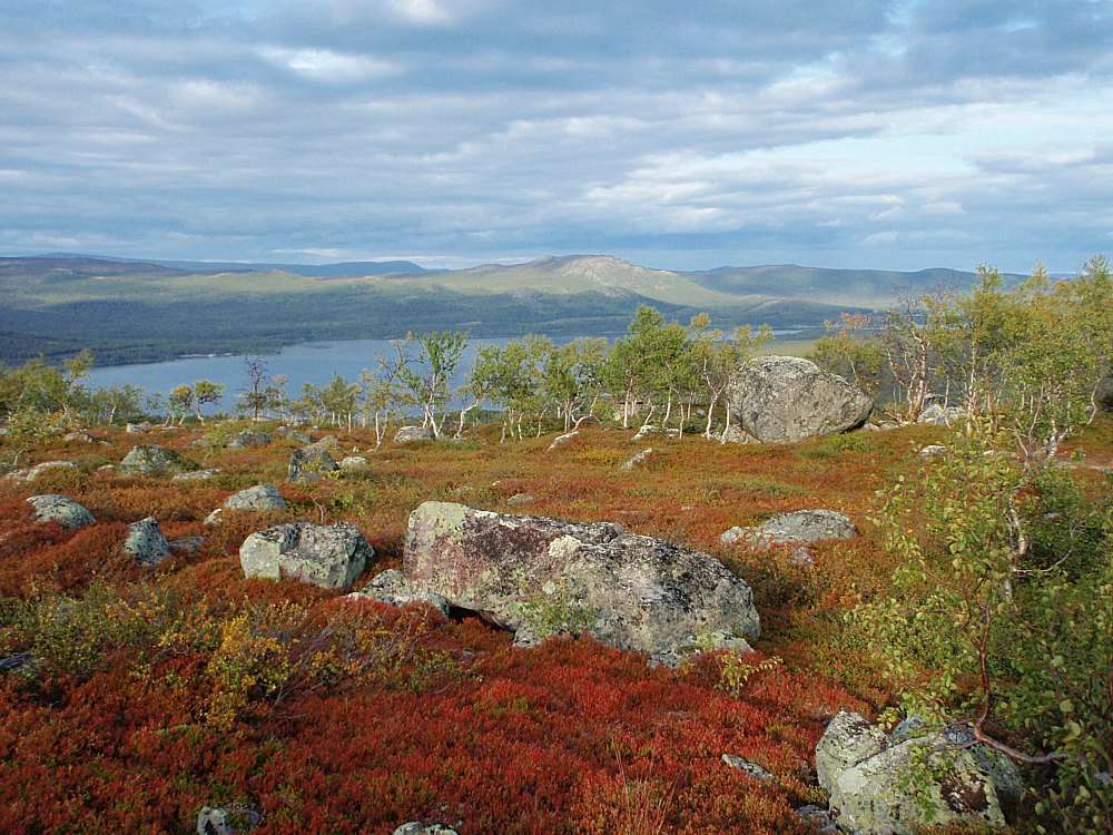 Салтолуокта пейзаж Швеция онлайн пъзел