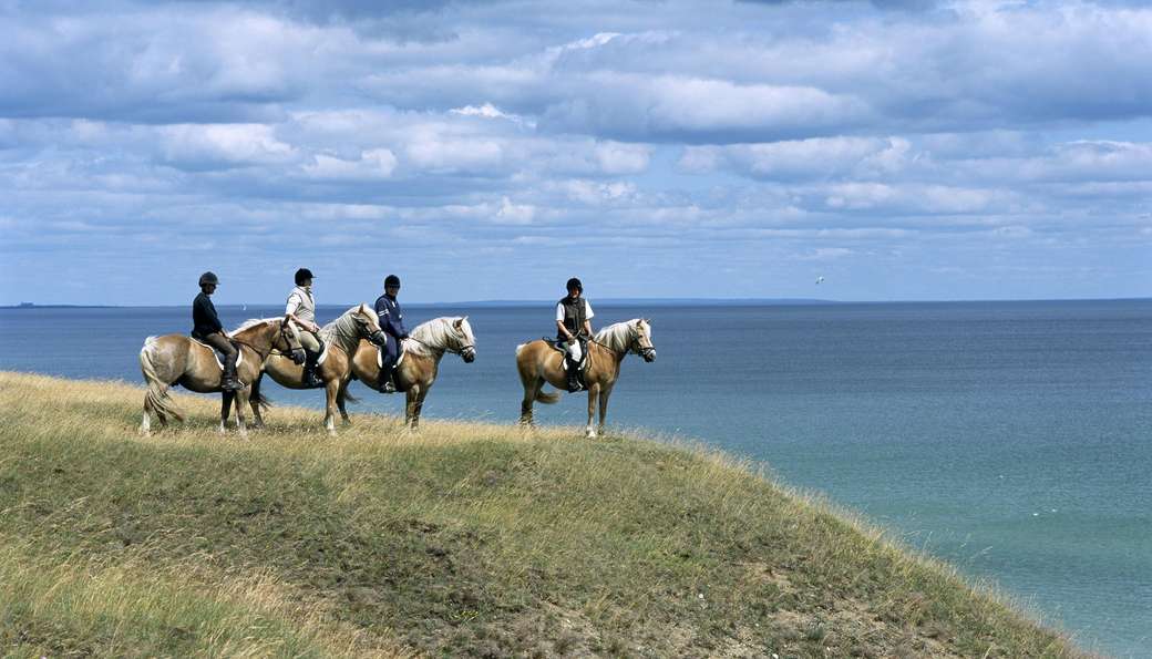 Excursion à cheval à Skane sur la côte suédoise puzzle en ligne