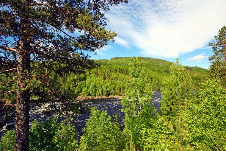Varmland landscape in Sweden online puzzle