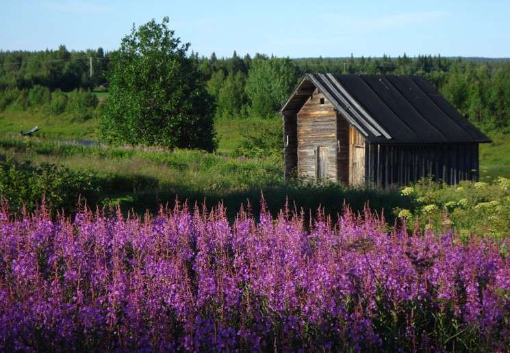 Cabana de madeira na Lapônia finlandesa quebra-cabeças online