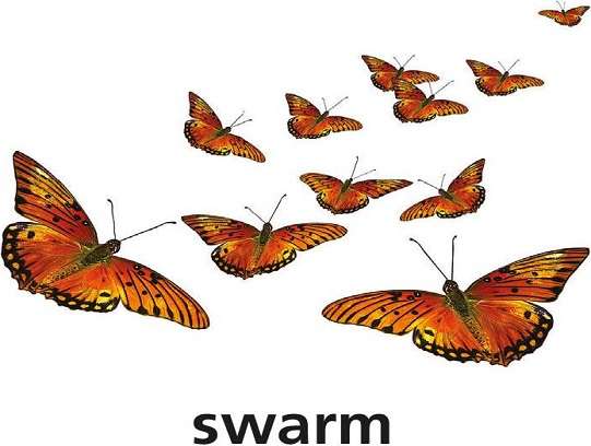 s is for swarm jigsaw puzzle online