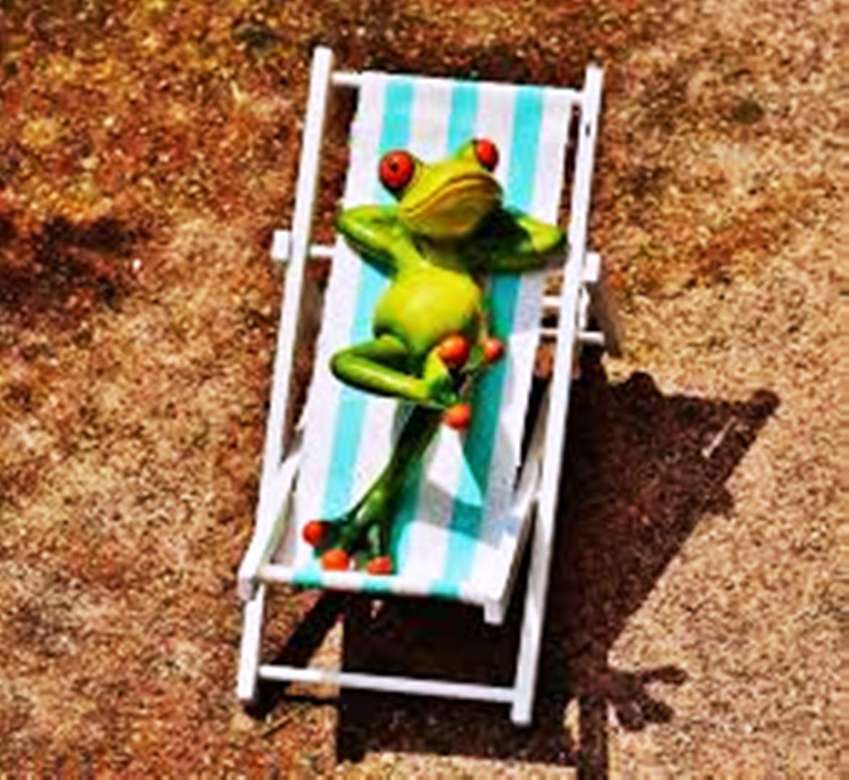 on the sunbed jigsaw puzzle online