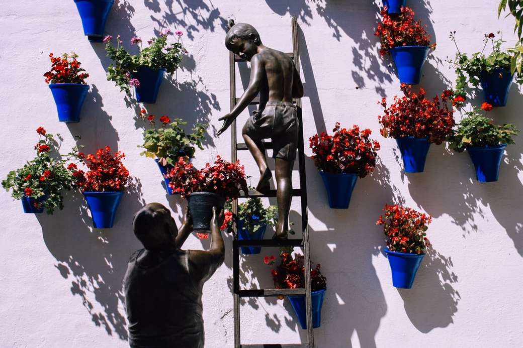 момче, катерещо се по стълба близо до саксии с растения, монтирани на стена онлайн пъзел