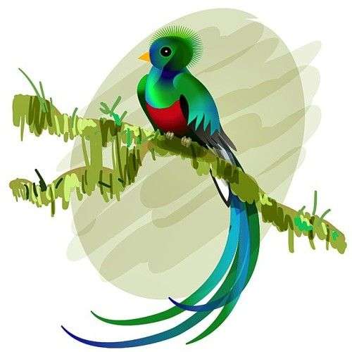 O quetzal puzzle online