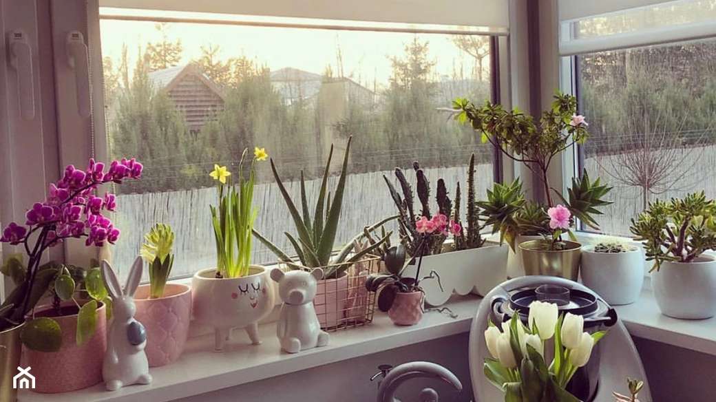 саксийни цветя на перваза на прозореца онлайн пъзел