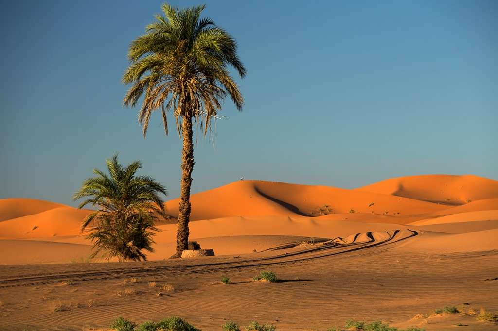 en el borde del Sahara rompecabezas en línea