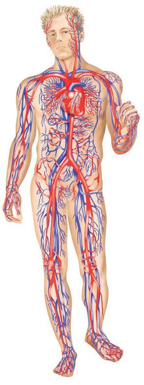 knowing my body jigsaw puzzle online