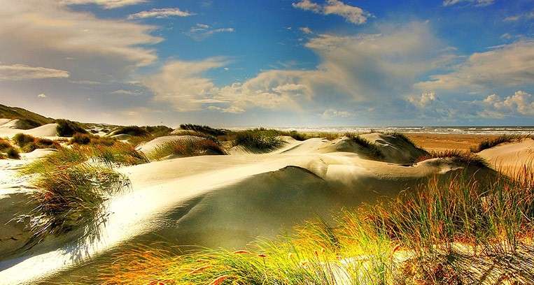 Пейзаж с дюнами Дания онлайн-пазл