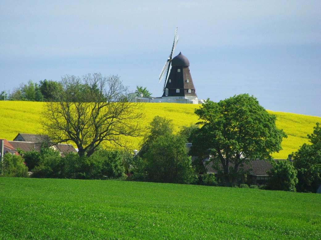 Skagen Windmühle in Dänemark Puzzlespiel online