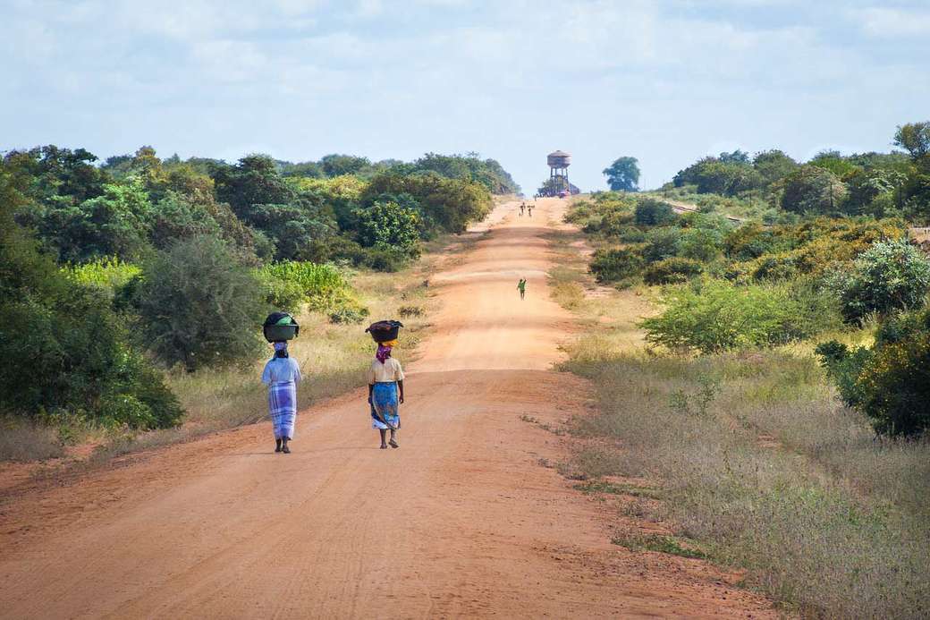 Αφρικανικοί άνθρωποι περπατούν κατά μήκος του δρόμου παζλ online