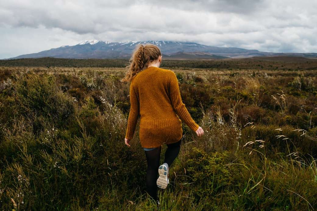 жена, разхождаща се в тревно поле под стратокомулус облаци онлайн пъзел