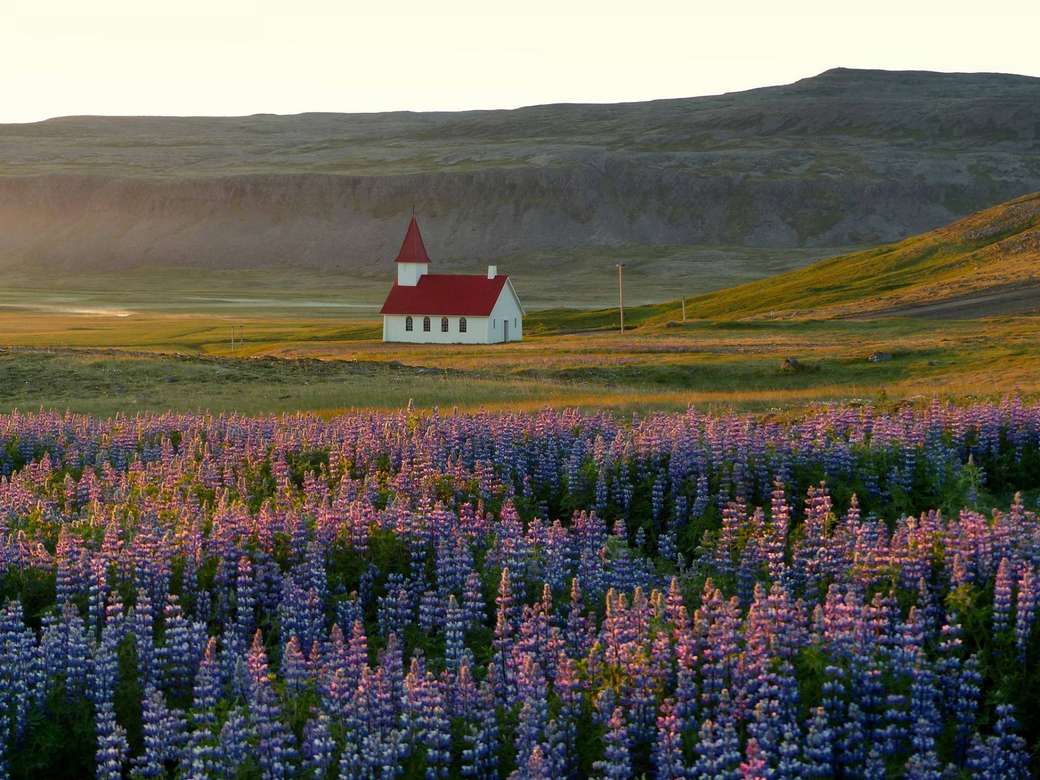 Iglesia en la Islandia salvaje rompecabezas en línea