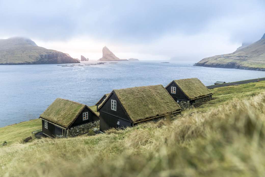 Huizen aan de kust op de Faeröer legpuzzel online