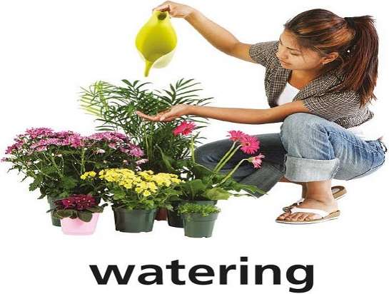 w е за поливане онлайн пъзел
