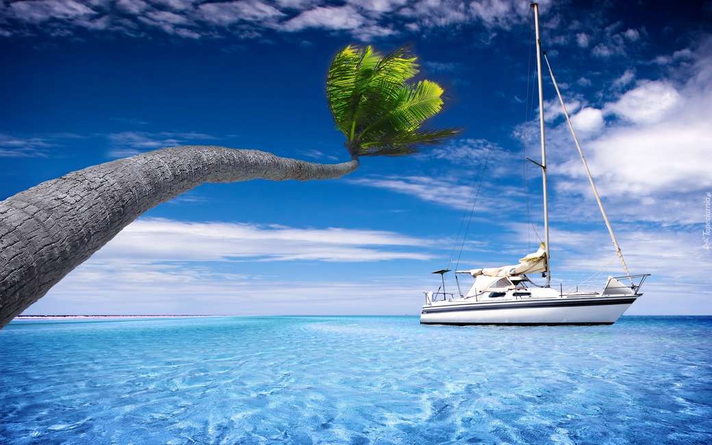 båt till sjöss, palmträd pussel på nätet