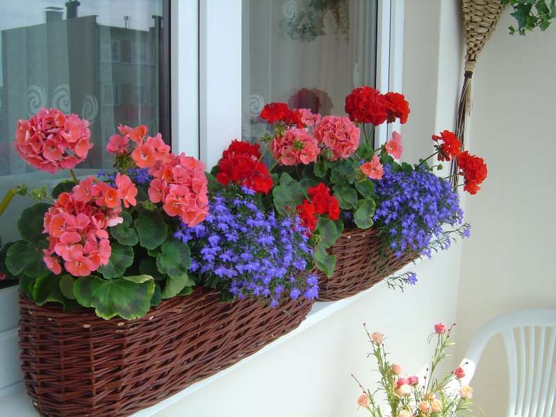 Blumen auf dem Balkon Puzzlespiel online