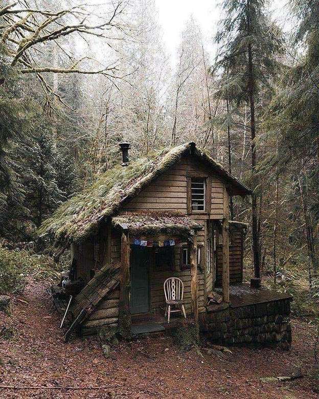 Къща в гората онлайн пъзел