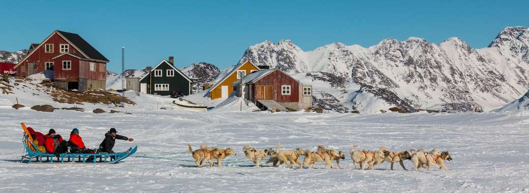 Câini husky ca câini de sanie pe Groenlanda puzzle