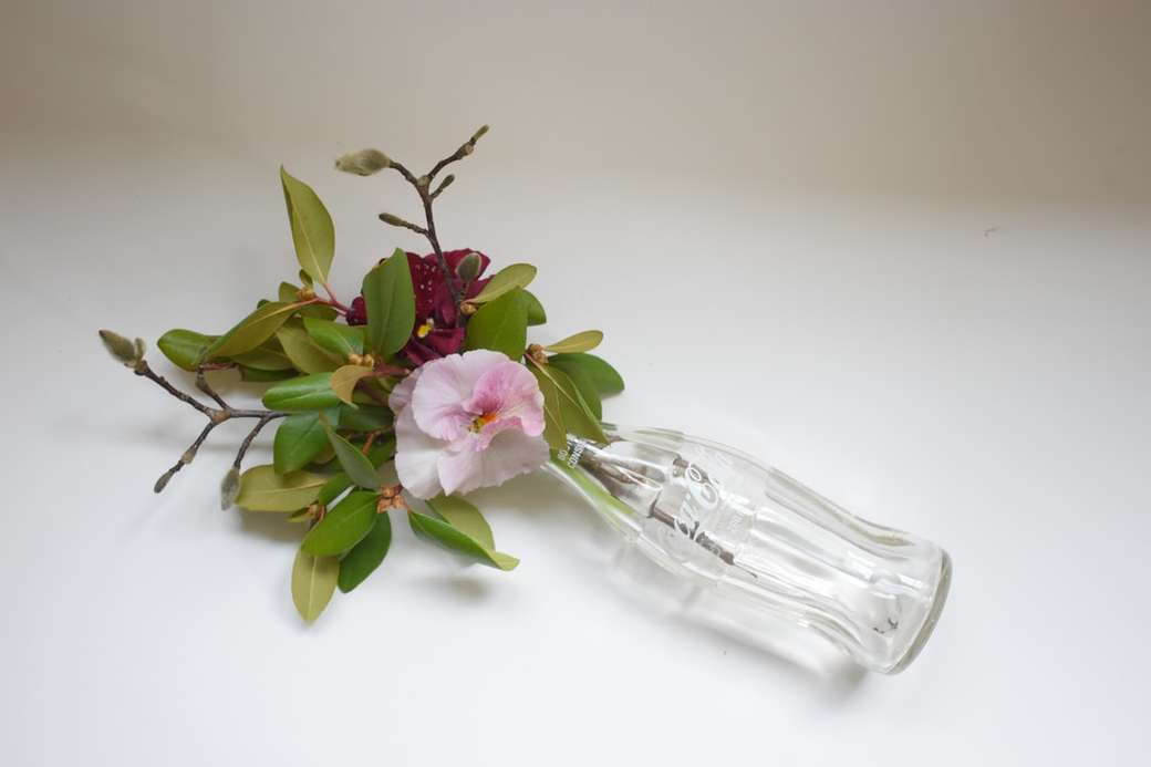 růžové a bílé květy ve váze z čirého skla skládačky online
