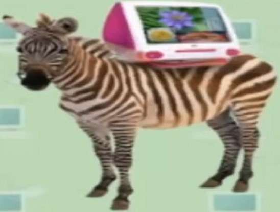 z är för zebra Pussel online
