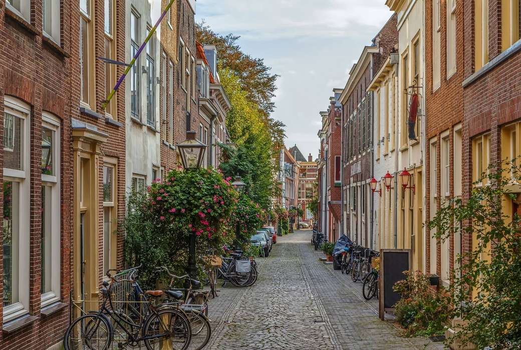 Leiden stad i Nederländerna pussel på nätet