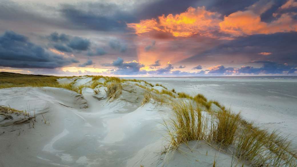 Isla de Texel frente a la costa de Holanda rompecabezas en línea