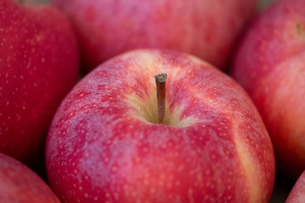 Κόκκινα μήλα παζλ online
