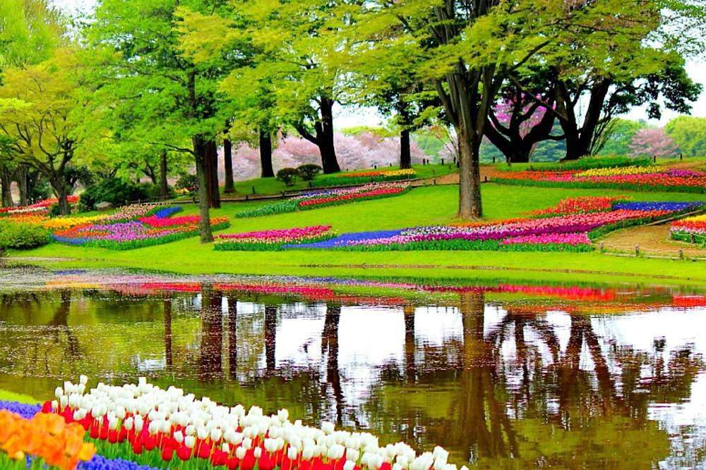 Amsterdam Keukenhof garden landscape jigsaw puzzle online