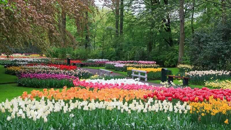 Τοπίο κήπου του Άμστερνταμ Keukenhof παζλ online